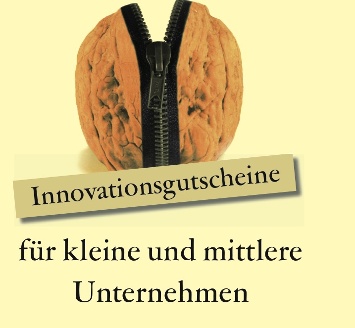 Innovationsgutscheine