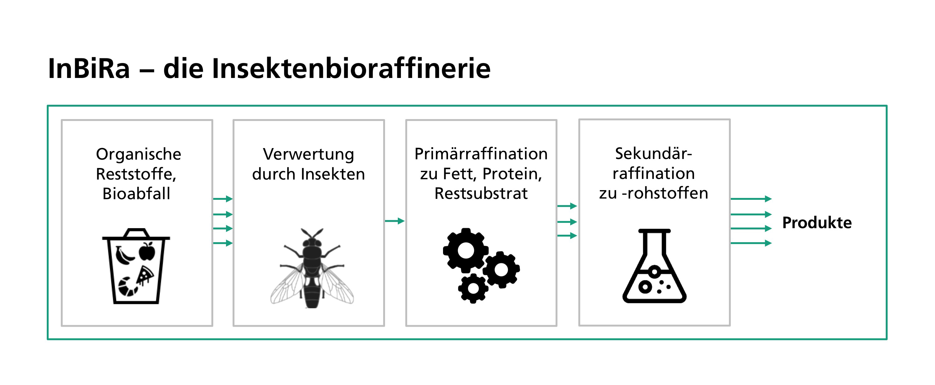 Schema über die Verwertung von organischen Rohstoffen von Insekten zu technisch nutzbaren höherwertigen Produkten.