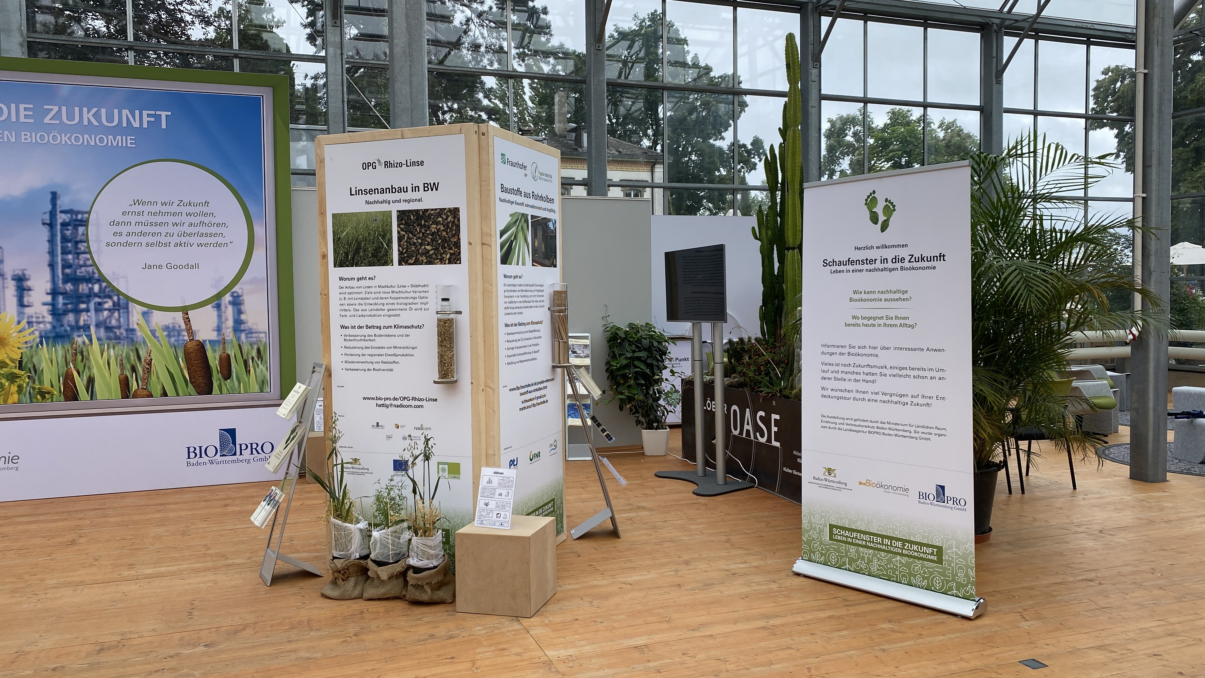 Ausstellung