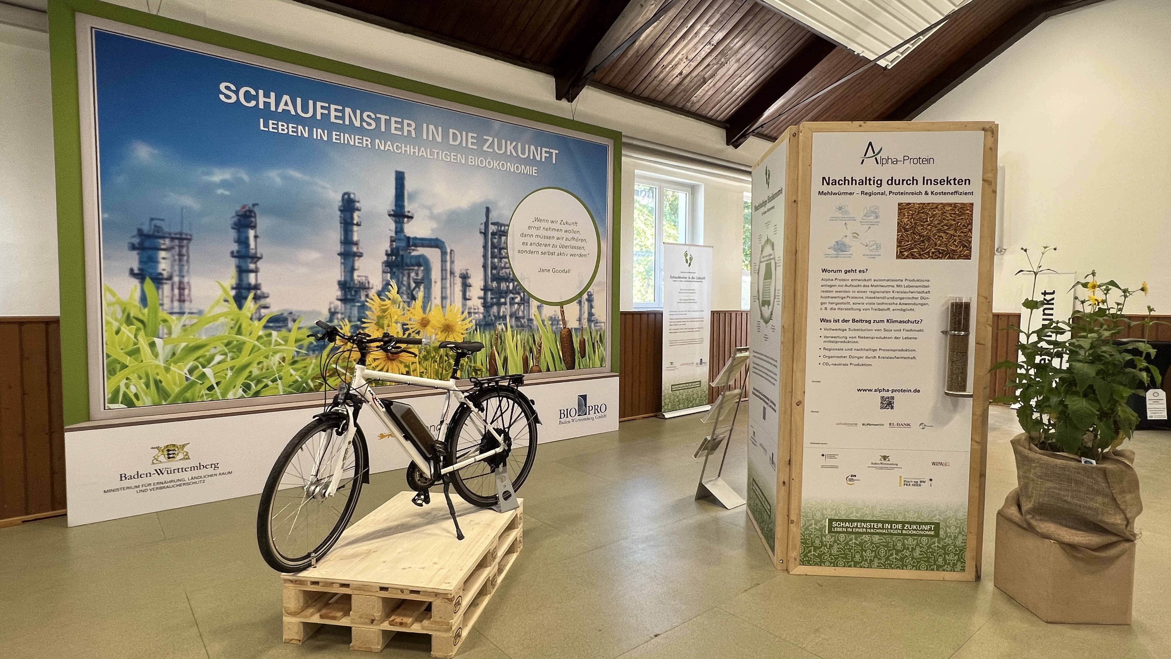 Ausstellung Neuenburg