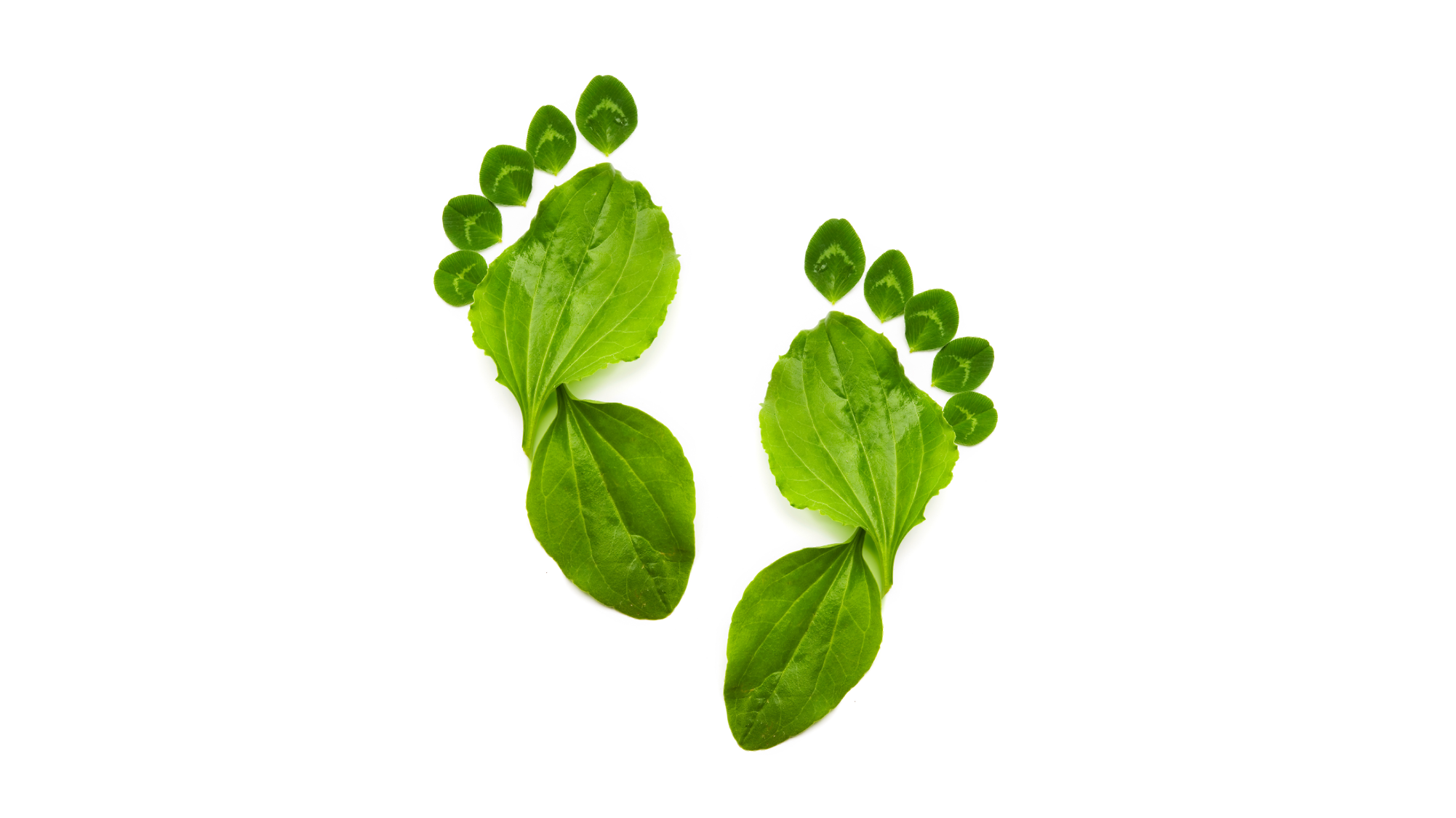 Füße Fotolia