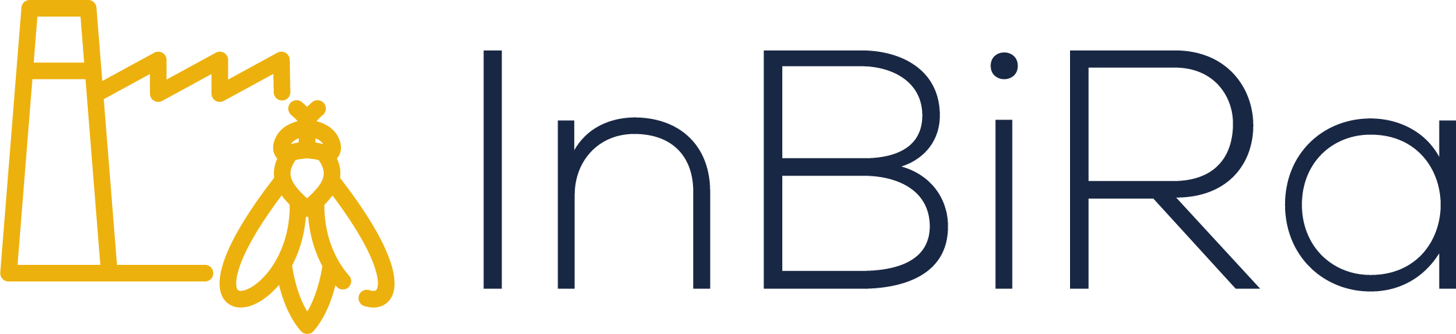 InBiRa Logo