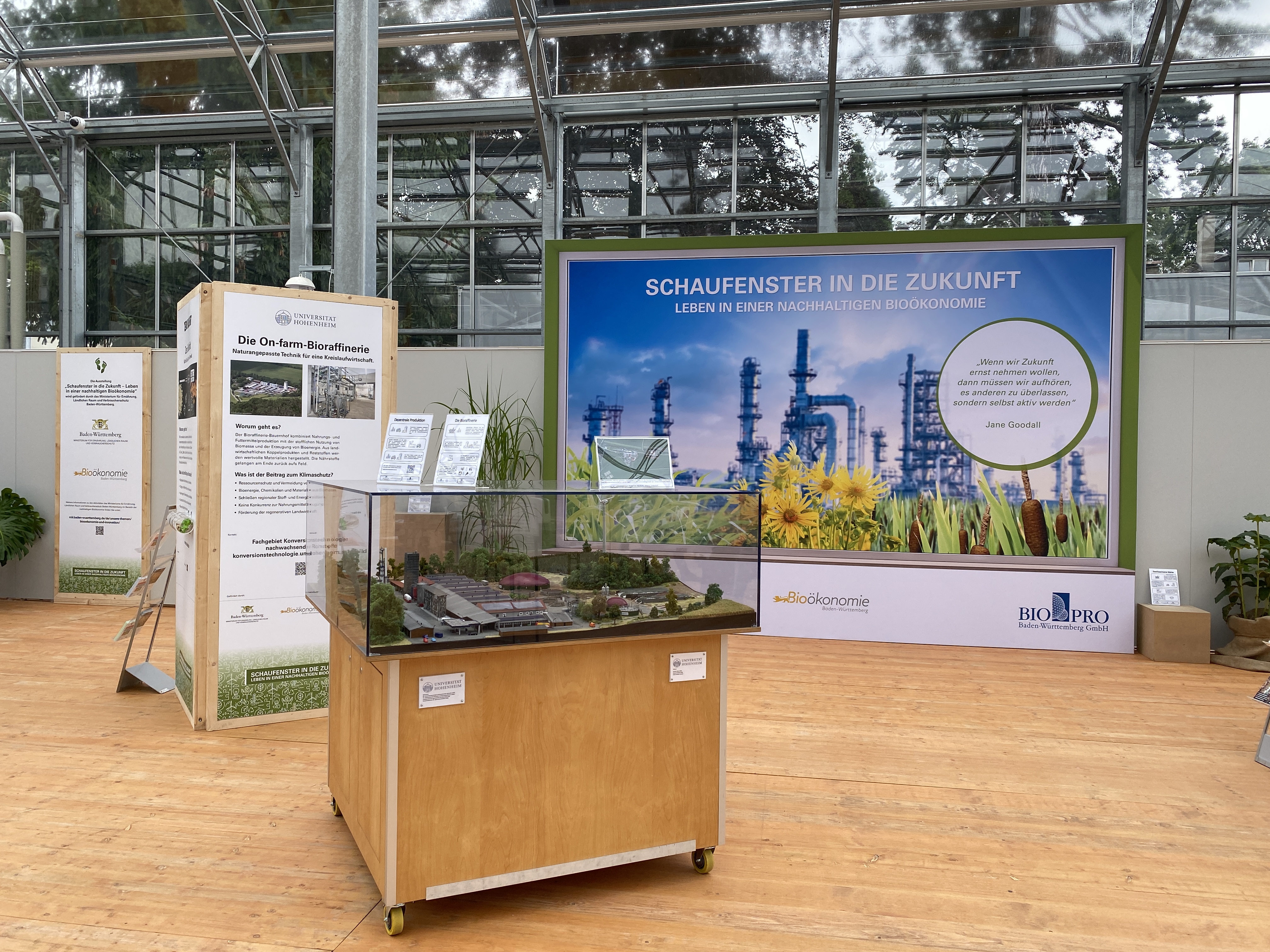 Ausstellung