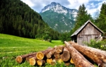holz_alpen_CC0.jpg