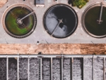 Phosphor Recycling
