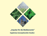 Flyer Impulse für die Bioökonomie