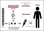 In-vivo-Gentherapien wie Zolgensma und Ex-vivo-Gentherapien wie CAR-T-Zellen.