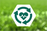 Icon heart with ecg line on a green background
