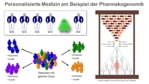 Schaubild zur Verdeutlichung der Pharmakogenomik. Individuen mit unterschiedlicher genetischer Ausstattung sind durch unterschiedlich farbige Piktogramme dargestellt und besitzen unterschiedliche Kombinationen aus Wirksamkeit und Toxizität. Mit Hilfe einer gezeichneten Sanduhr wird der Einfluss von nicht genetischen Faktoren verdeutlicht.