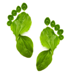 Füße Fotolia