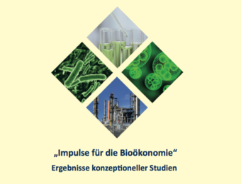 Flyer Impulse für die Bioökonomie
