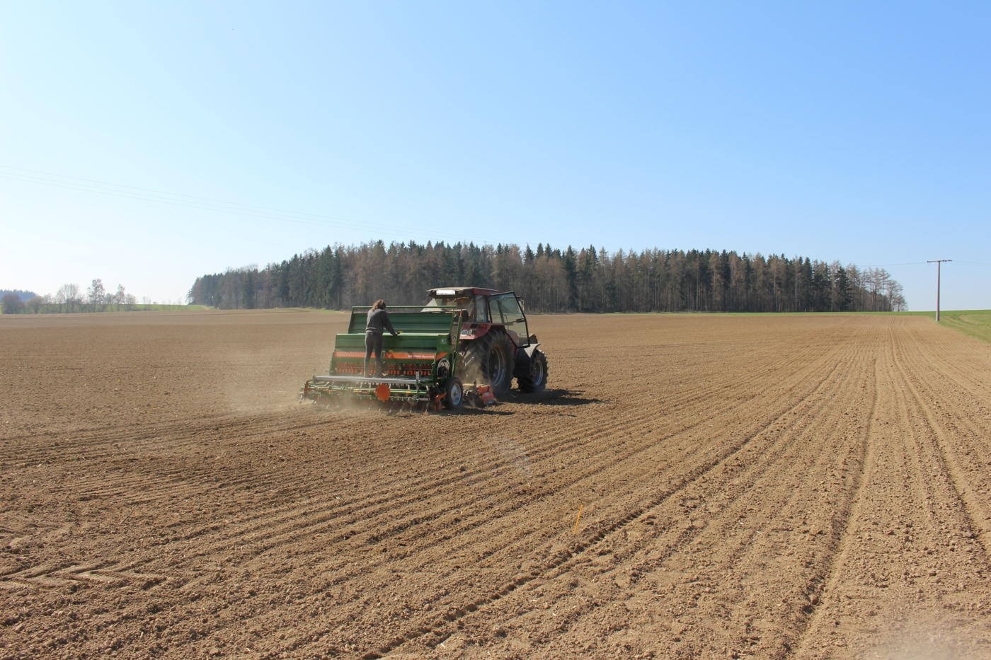 Ein Traktor auf einem Feld sät das Linsen-Stützfrucht-Gemenge auf einem Feld aus.